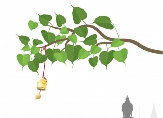 Thương Lắm Áo Nâu Ơi Thuong-Lam-Ao-Nau-oi