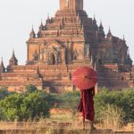 Tỉnh Mộng Đời Tinh-Mong-Doi