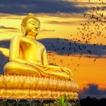 Tôi Thấy Phật Toi-Thay-Phat