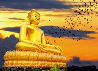 Tôi Thấy Phật Toi-Thay-Phat