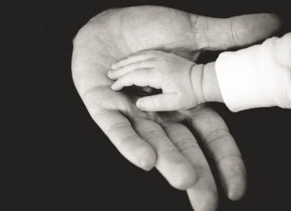 Vì Đó Là Con Vi-Do-La-Con