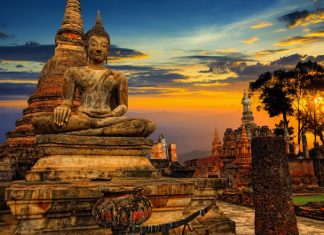 Vô Tình Tạo Nghiệp Vo-Tinh-Tao-Nghiep
