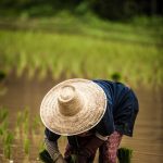 Yêu Một Không Gian Yeu-Mot-Khong-Gian