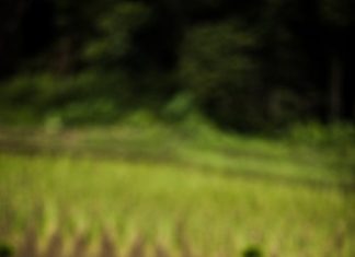 Yêu Một Không Gian Yeu-Mot-Khong-Gian