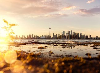 Ai cũng cần được tôn trọng andre-furtado-vuhqtUqSVtE-unsplash