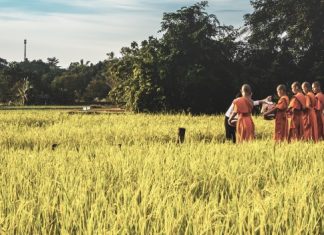 Bài Học Đạo Lý Từ Sự Cúng Dường bai hoc dao ly tu su cung duong