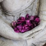 Bài học đạo lý từ sự cúng dường bai-hoc-tu-su-cung-duong-1