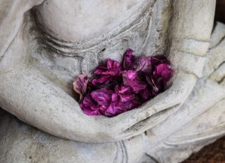 Bài học đạo lý từ sự cúng dường bai-hoc-tu-su-cung-duong-1