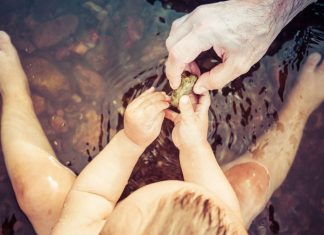 Cận Tết, Nghĩ Về Cha… can tet nghi ve cha