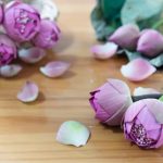 Câu chuyện về tình mẫu tử cau-chuyen-ve-tinh-mau-tu