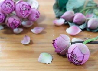 Câu chuyện về tình mẫu tử cau-chuyen-ve-tinh-mau-tu