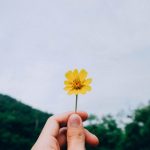 Chút Tình Sót Lại chut-tinh-sot-lai