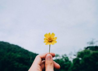 Chút Tình Sót Lại chut-tinh-sot-lai