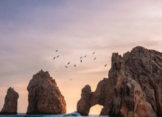 Cuộc Đời Là Những Chuyến Đi Xa cuoc doi la nhung chuyen di