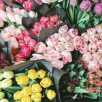 Cuộc Sống Tươi Đẹp ! cuoc-song-tuoi-dep