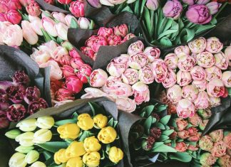 Cuộc Sống Tươi Đẹp ! cuoc-song-tuoi-dep