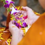 Đầu Năm Hướng Về Tam Bảo dau nam huong ve tam bao