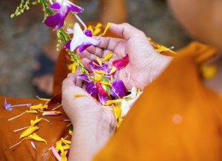 Đầu Năm Hướng Về Tam Bảo dau nam huong ve tam bao