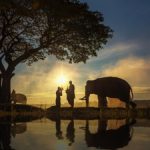 Ðoạn đường phải đến doan-duong-phai-den