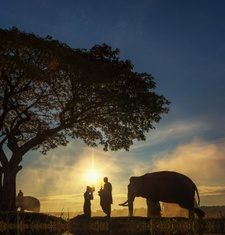 Ðoạn đường phải đến doan-duong-phai-den