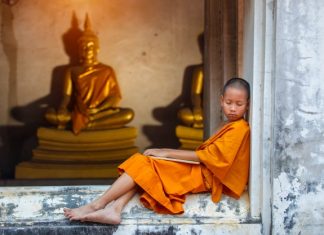 Đứa Con Lười Biếng dua con luong bieng