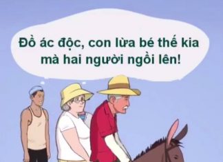 Hai Vợ Chồng Và Con Lừa hai-vo-chong-va-con-lua