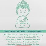 Cái gì là lõi cây, cái ấy sẽ tồn tại lâu dài hanh-phuc-loi-cay-1