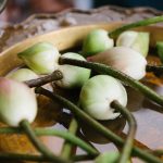 Hành thiện mà không cầu, tự nhiên được báo đáp hanh-thien-ma-khong-cau-tu-nhien-duoc-den-dap