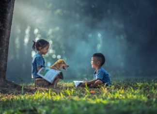 Hãy Sống Và Yêu Thương Vì Cuộc Đời Này Ngắn Lắm hay song va yeu thuong vi cuoc doi nay ngan lam