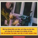 Hoa và cỏ hoa-va-co-1