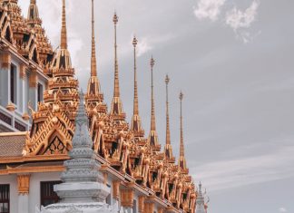 Ai cũng cần có bạn kiril-dobrev-MB1YI7cLOG4-unsplash