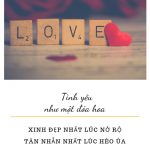 Lời Phật dạy về tình yêu đôi lứa loi-phat-day-ve-tinh-yeu
