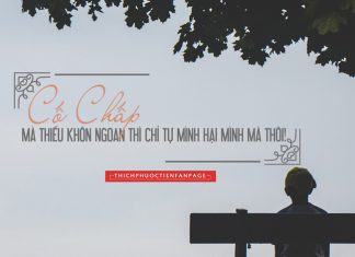 Mãi cố chấp, người thiệt thòi chính là bạn mà thôi mai-co-chap-thiet-thoi-chinh-la-ban-than-ban-ma-thoi