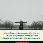 Mía đâu có ngọt 2 đầu mia-dau-co-ngot-2-dau