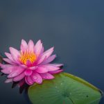 Một đời ngoại để lại âm đức cho con cháu mot-doi-ngoai-de-lai-am-duc-cho-con-chau