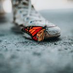 Nhược điểm của kẻ yếu nathan-dumlao-mNLymMqX7iE-unsplash