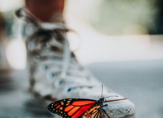 Nhược điểm của kẻ yếu nathan-dumlao-mNLymMqX7iE-unsplash