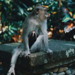 Ngẫm Lại Để Lớn Lên ngam lai de lon len