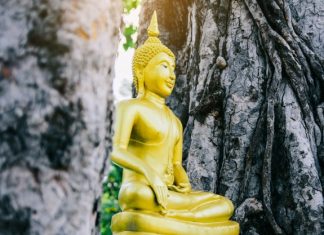 Ngày xưa… ngay-xua