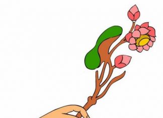 Người cho nên cảm ơn nguoi-cho-nen-cam-on