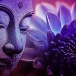 Người ngu ăn muối nguoi-ngu-an-muoi-1