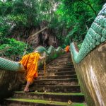 Người trồng ngô nguoi-trong-ngo