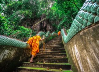 Người trồng ngô nguoi-trong-ngo