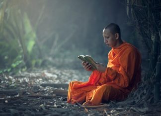 Những Điều Tôi Nhận Được Từ Phật Pháp nhung dieu oi nhan duoc tu phap phap