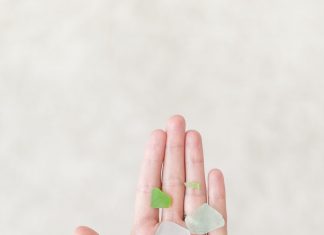 Phải Trả Nghiệp Do Tham Lam phai tra nghiep do tham lam