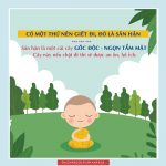Tai hại của sân hận tai hai cua san han