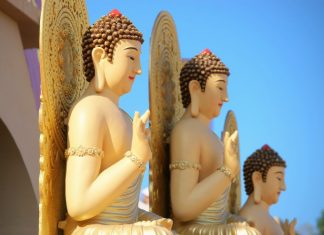 Tâm con người luôn thay đổi tam-con-nguoi-luon-thay-doi