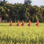 Tâm Linh – Con Đường Dẫn Tới Bình An tam linh con duong toi binh an