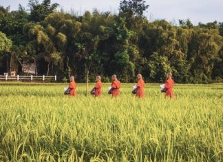 Tâm Linh – Con Đường Dẫn Tới Bình An tam linh con duong toi binh an