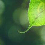 Tâm Tình Người Xuất Gia Khi Nghĩ Về Cha Mẹ tam tinh nguoi xuat gia khi nghi ve cha me
